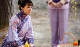 电视剧亲叔辣婶,温情岁月里的家庭传奇